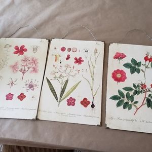 Wood French Country Pictures